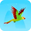 Flying Parrot