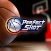 Perfect Shot